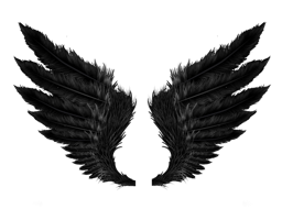 Fantasy & wings free transparent png image.