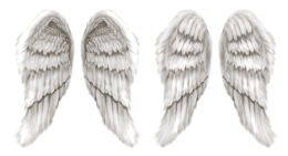 Fantasy & wings free transparent png image.