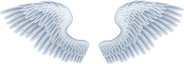 Fantasy & wings free transparent png image.