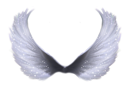 Fantasy & wings free transparent png image.