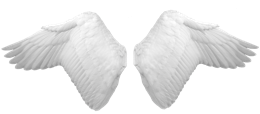 Fantasy & Wings free transparent png image.