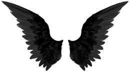 Fantasy & wings free transparent png image.