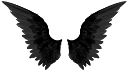 Fantasy & Wings free transparent png image.