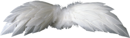 Fantasy & Wings free transparent png image.