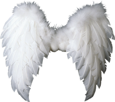 Fantasy & Wings free transparent png image.