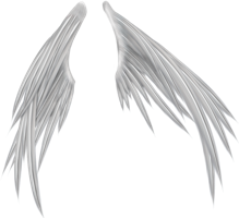 Fantasy & Wings free transparent png image.