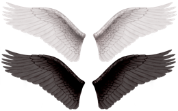 Fantasy & wings free transparent png image.