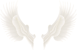 Fantasy & Wings free transparent png image.