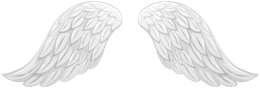 Fantasy & Wings free transparent png image.
