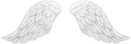 Fantasy & wings free transparent png image.