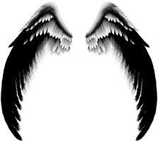 Fantasy & Wings free transparent png image.