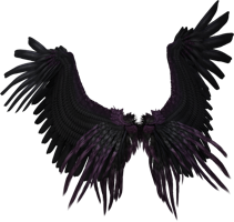 Fantasy & Wings free transparent png image.