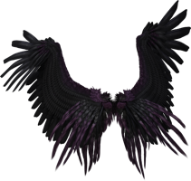 Fantasy & wings free transparent png image.