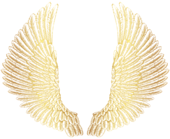 Fantasy & wings free transparent png image.