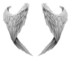 fantasy & wings free transparent png image.