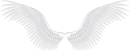 fantasy & wings free transparent png image.