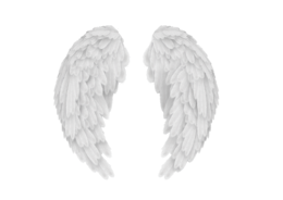 fantasy & wings free transparent png image.