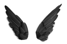 fantasy & wings free transparent png image.