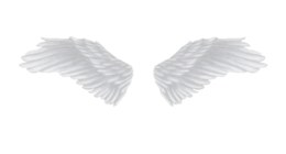 fantasy & wings free transparent png image.