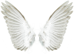 fantasy & wings free transparent png image.