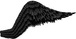 fantasy & Wings free transparent png image.