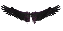 fantasy & wings free transparent png image.