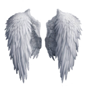 fantasy & wings free transparent png image.