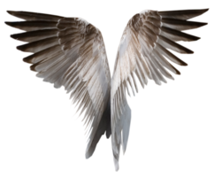 fantasy & wings free transparent png image.