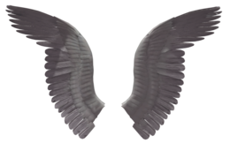 fantasy & Wings free transparent png image.