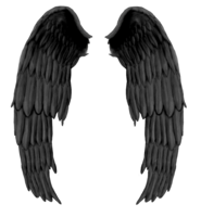 fantasy & Wings free transparent png image.