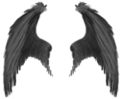 fantasy & wings free transparent png image.