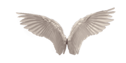 fantasy & wings free transparent png image.