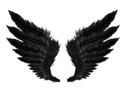fantasy & Wings free transparent png image.