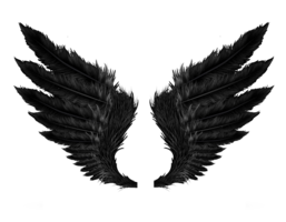 fantasy & wings free transparent png image.