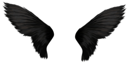 fantasy & Wings free transparent png image.