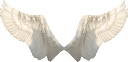 fantasy & wings free transparent png image.