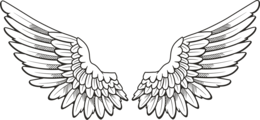 fantasy & wings free transparent png image.