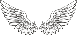 fantasy & wings free transparent png image.