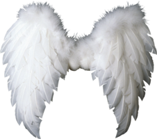 fantasy & wings free transparent png image.