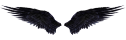 fantasy & Wings free transparent png image.