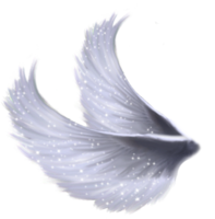 fantasy & wings free transparent png image.