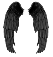 fantasy & wings free transparent png image.