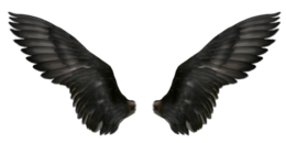 fantasy & wings free transparent png image.