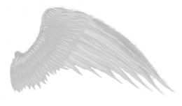 fantasy & wings free transparent png image.