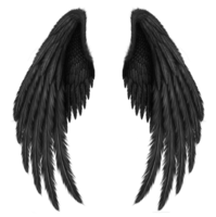 fantasy & wings free transparent png image.