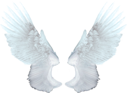 fantasy & wings free transparent png image.