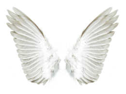 fantasy & wings free transparent png image.