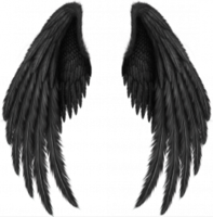 fantasy & wings free transparent png image.