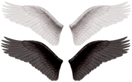 fantasy & wings free transparent png image.