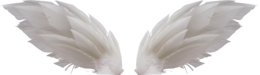 fantasy & wings free transparent png image.